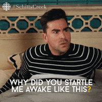 David from Schitt&#x27;s Creek saying &quot;why did you startle me awake like this?&quot;