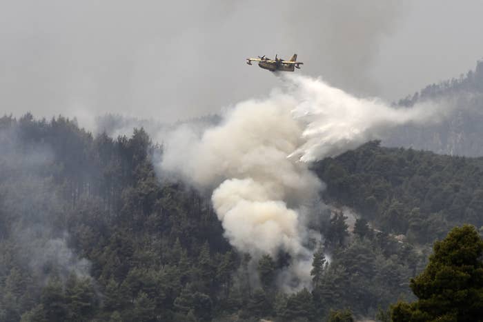 A plane spraying a forest to combat the fires