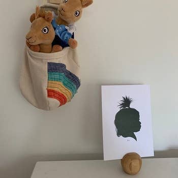 Reviewer's photo showing a rainbow pod holding stuffed animals and hanging on the wall