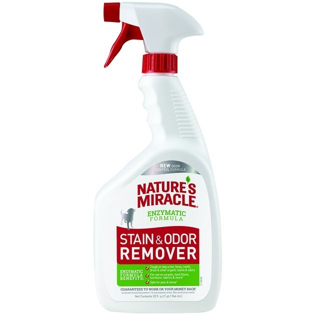 The stain and odor remover