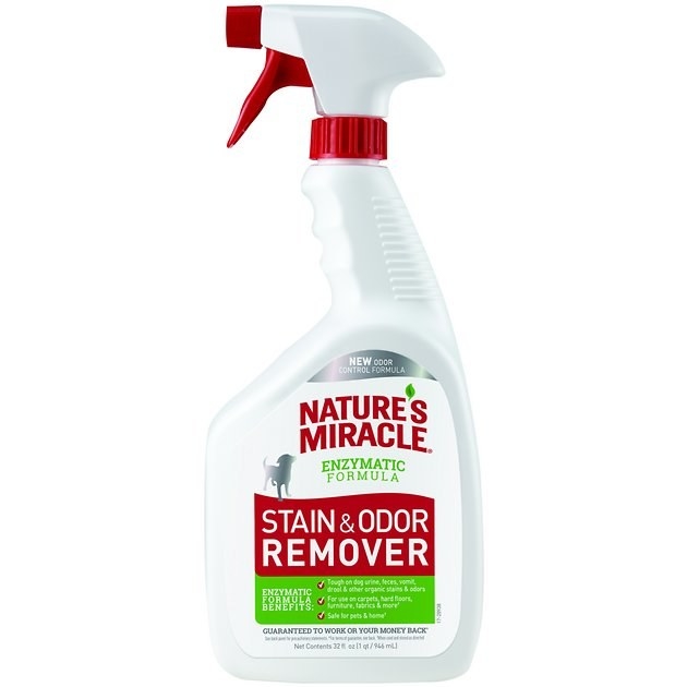 The stain and odor remover
