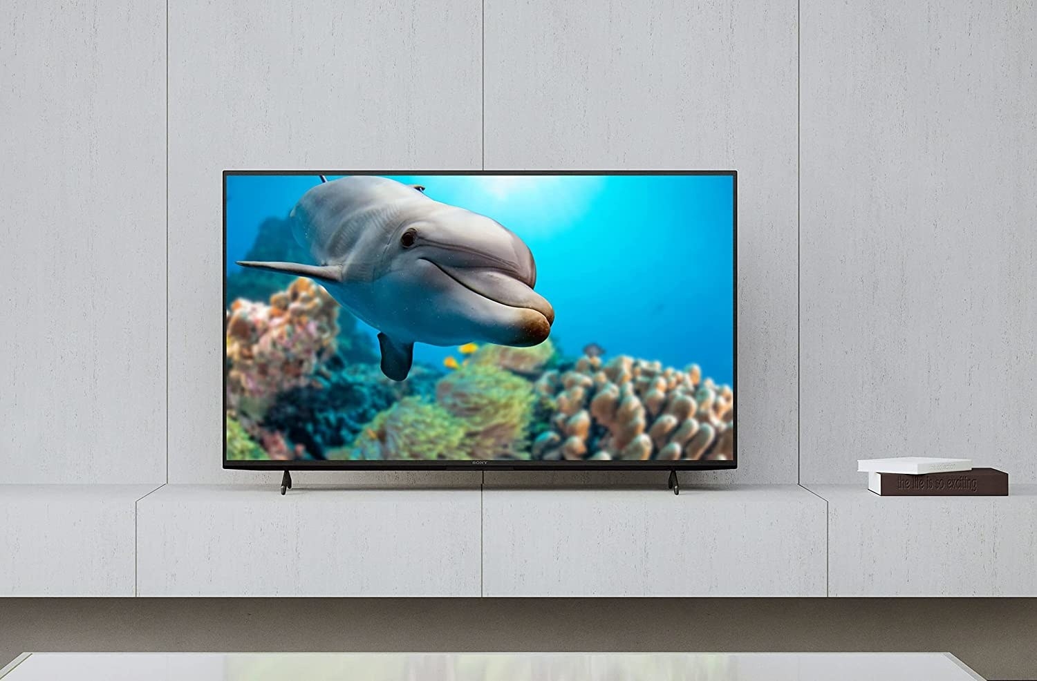 A TV with a dolphin on it