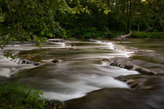A river surrounded by green foliage.