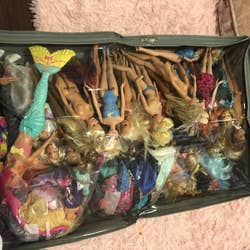 Reviewer's photo showing dolls stored in the underbed  bag