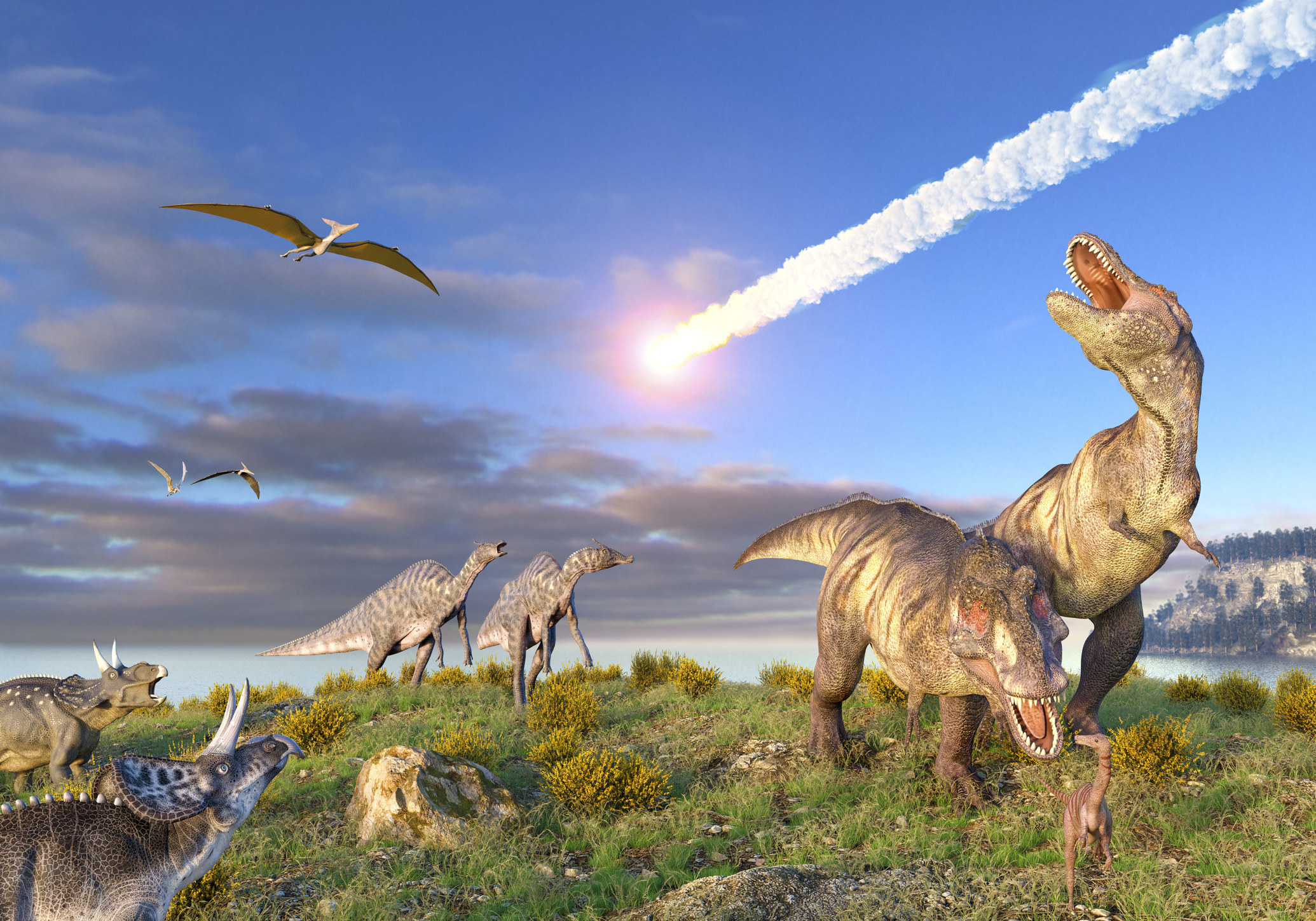 An imagine of the asteroid flying out of the sky about to kill the dinosaurs