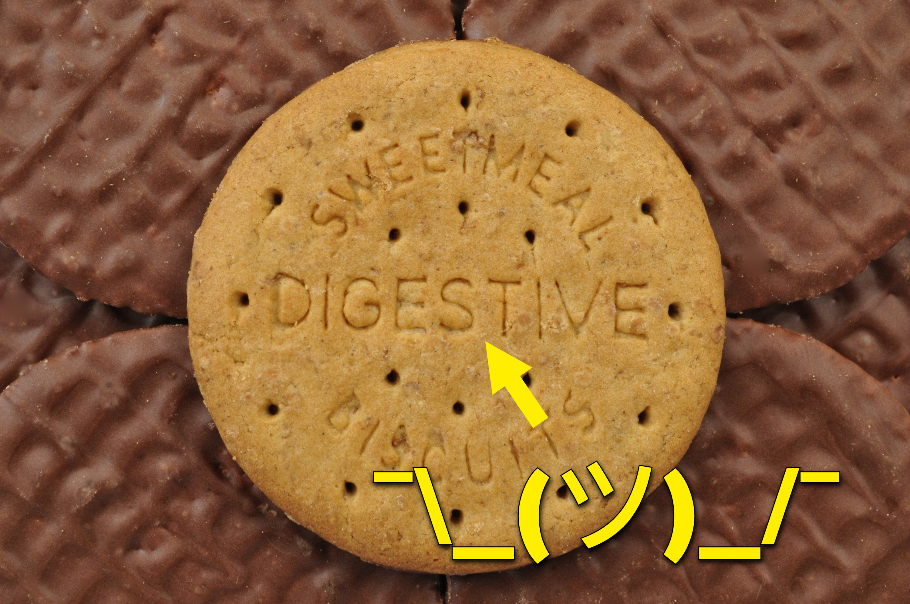 A chocolate coated digestive biscuit