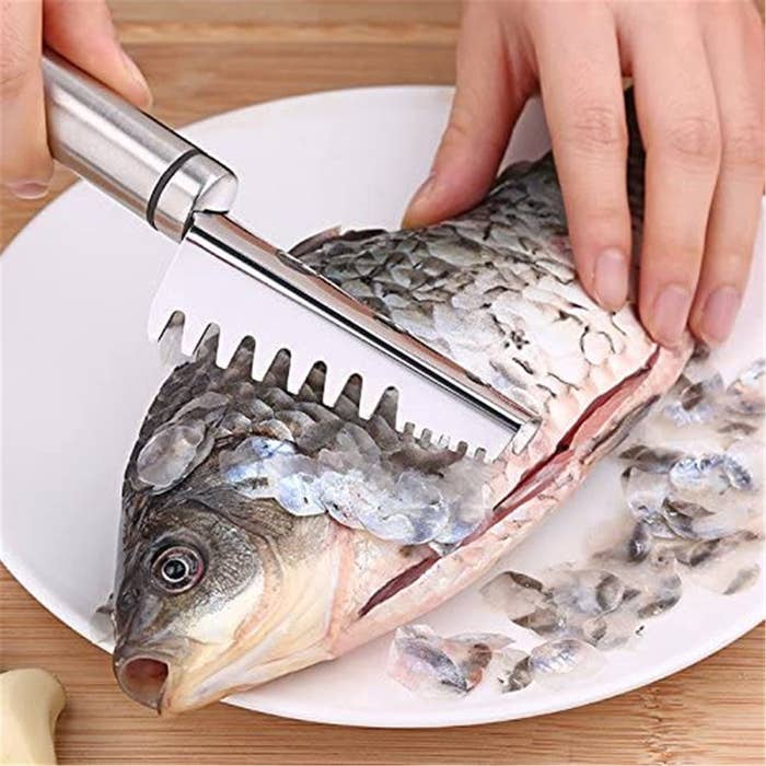 A stainless tell scale remover tool being used on a fish