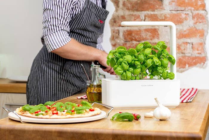 A person cooking beside indoor herb garden on a countertop growing fresh basil