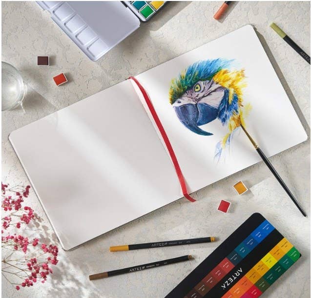 Foto de un bloc de acuarelas decorado con lápices, pinceles y la pintura de un ave.