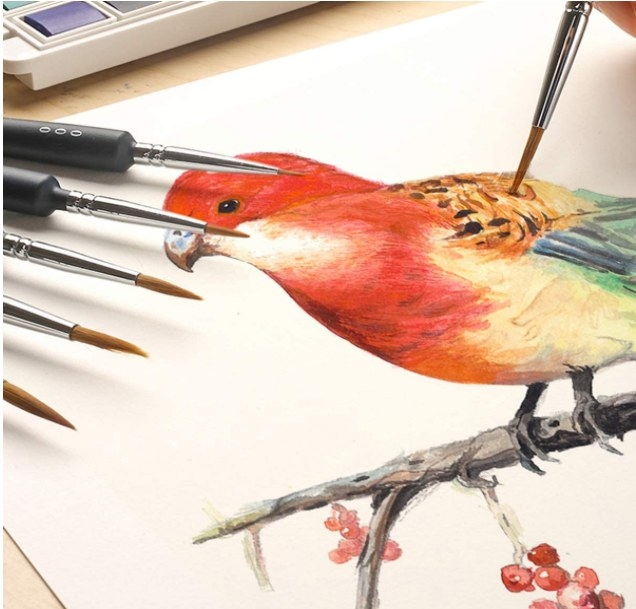 Foto demostrativa de pinceles de punta extra fina y la pintura de un ave