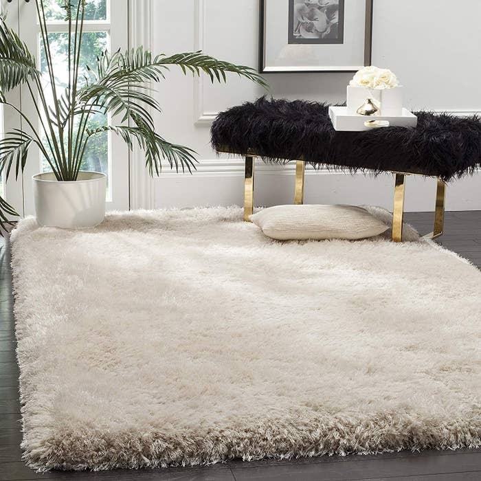 A shaggy rug placed underneath a plant and a bench