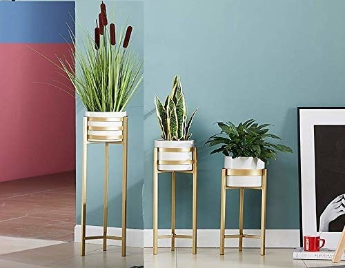 Three different sizes of white pot and gold stand holders with indoor plants planted in them
