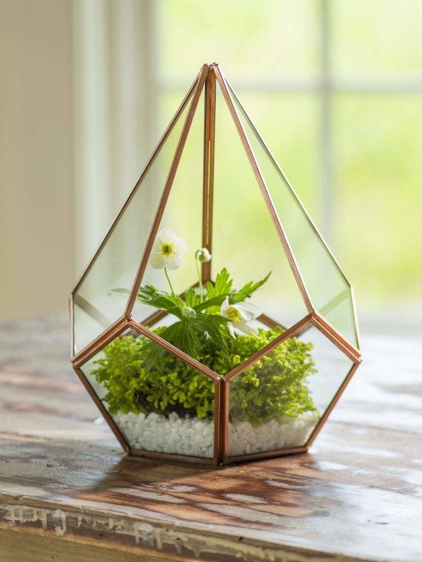 A glass conical decor with gold trimmings and white pebbles and a flowering plant placed inside