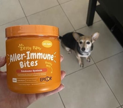 a reviewer holding the tub of immune bites in front of their dog