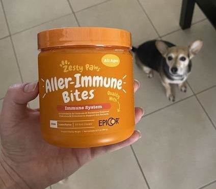 a reviewer holding the tub of immune bites in front of their dog