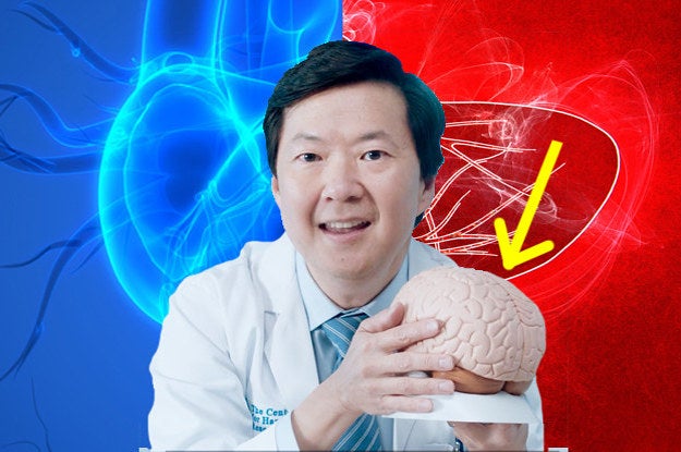 There Are 78 Organs In The Human Body And I'm Wondering How Many You Can Name