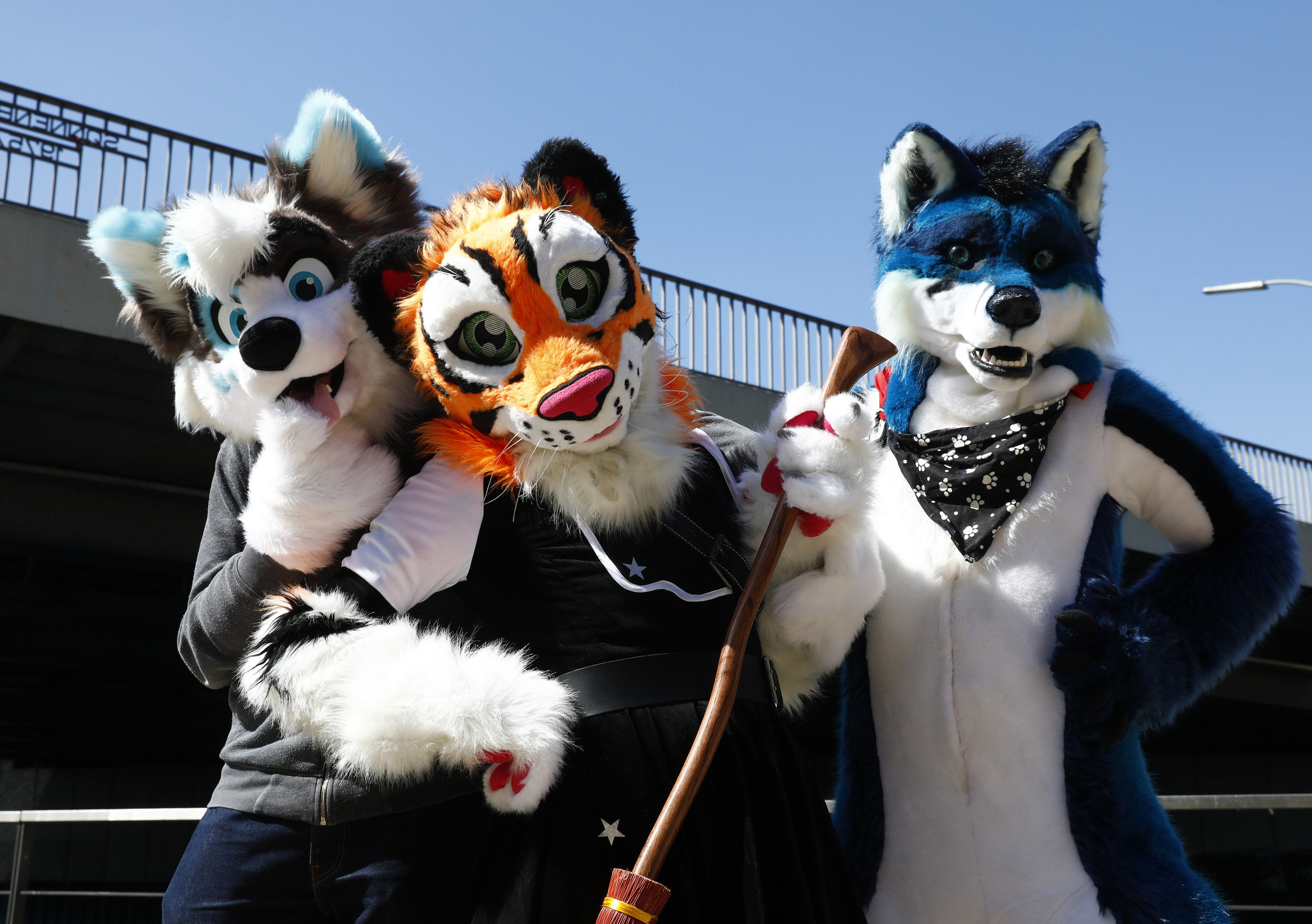 Photo of three furries in their fursuits
