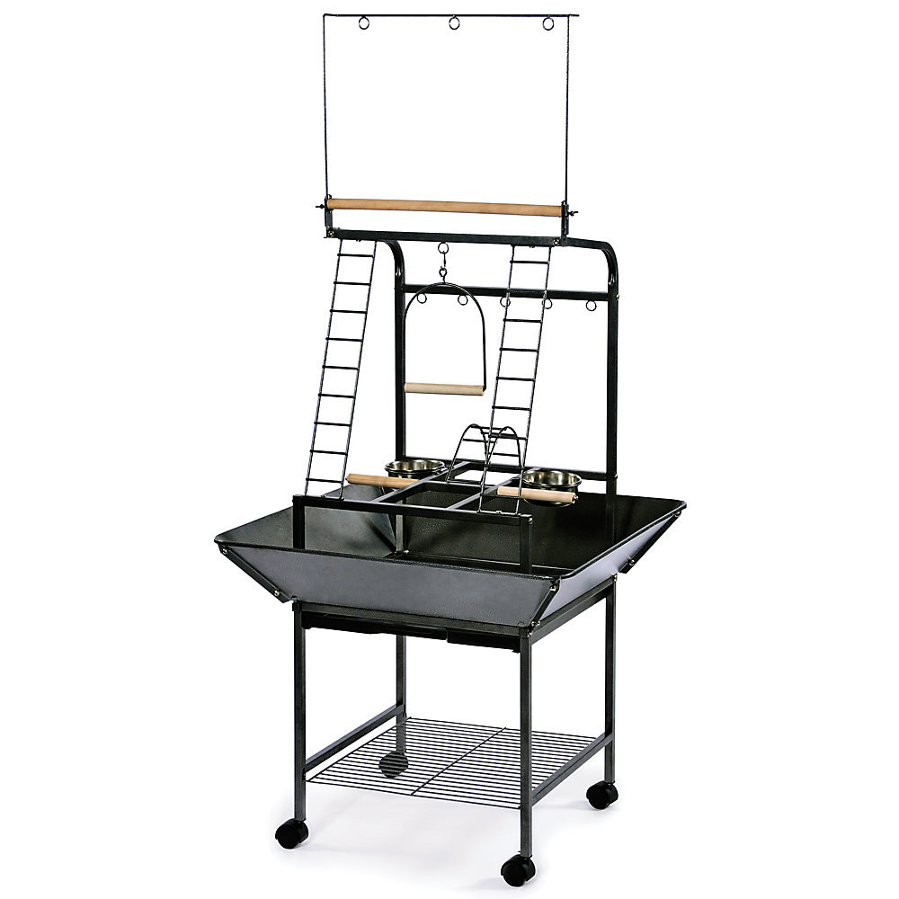 the playstand