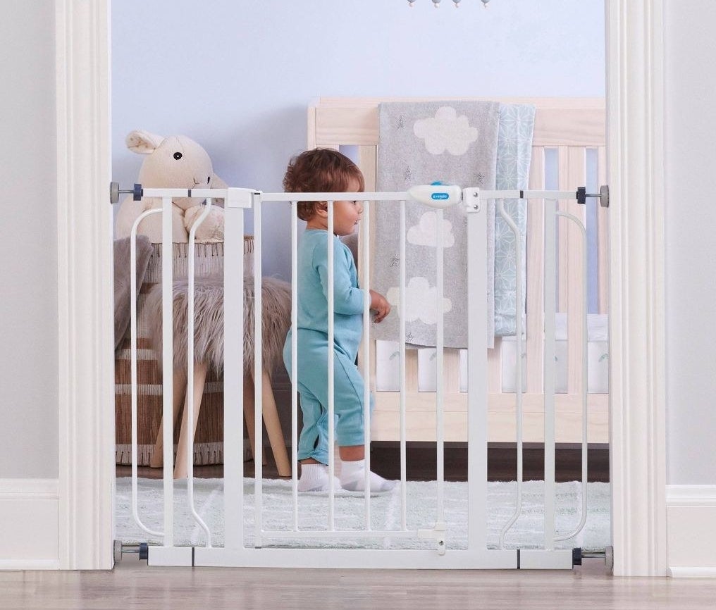 The baby gate