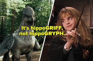 a smug Hermione telling you how to correctly spell hippogriff