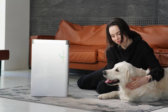 7 Best Air Purifiers for Pets in 2023