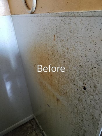 A reviewer before photo of stains on a bathroom wall