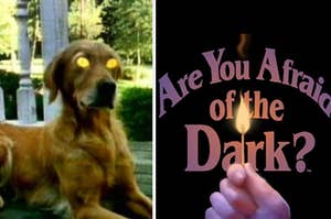 A dog with glowing eyes is on the left with "Are You Afraid of the Dark" logo on the right