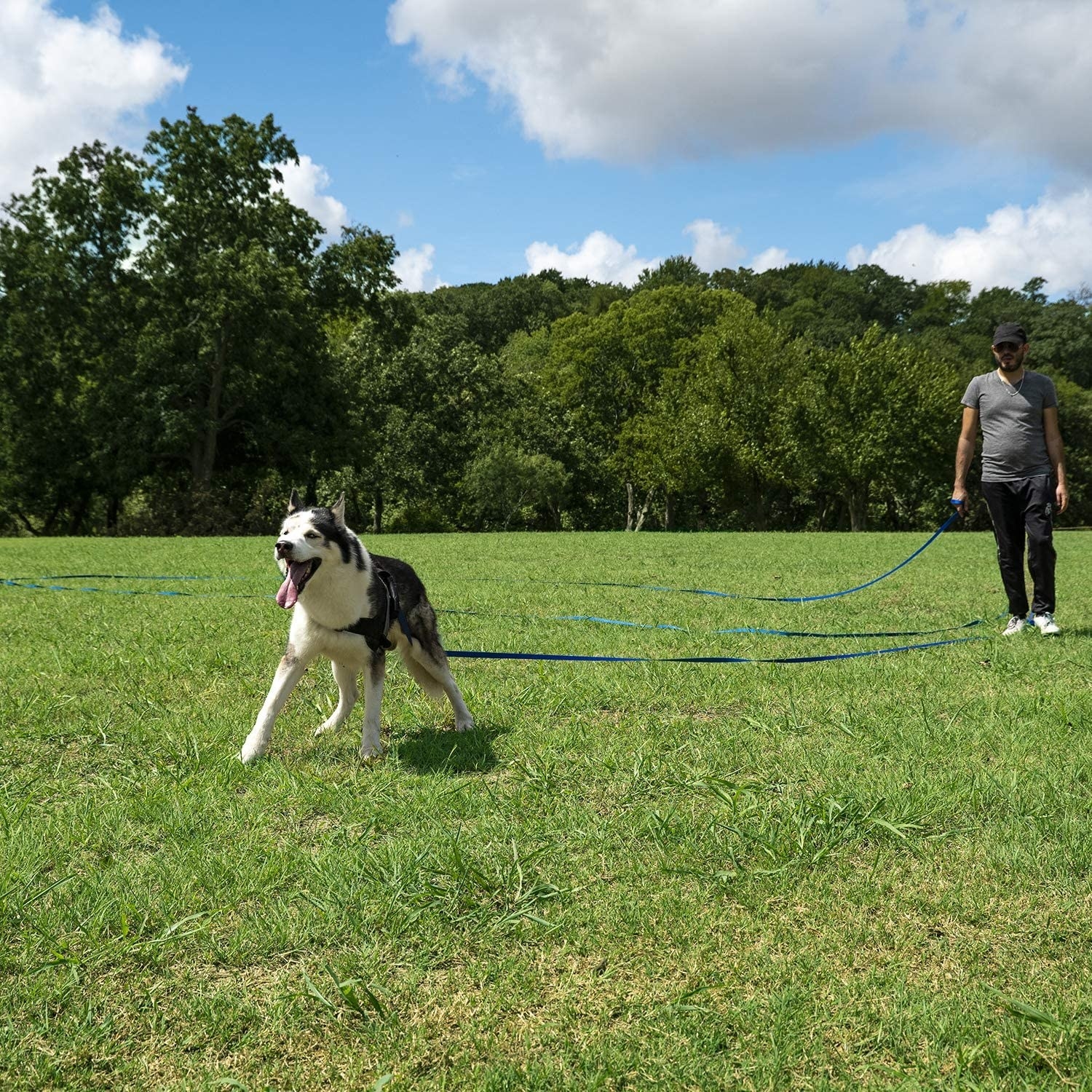 A person is watching their dog run in a field with a long recall leash