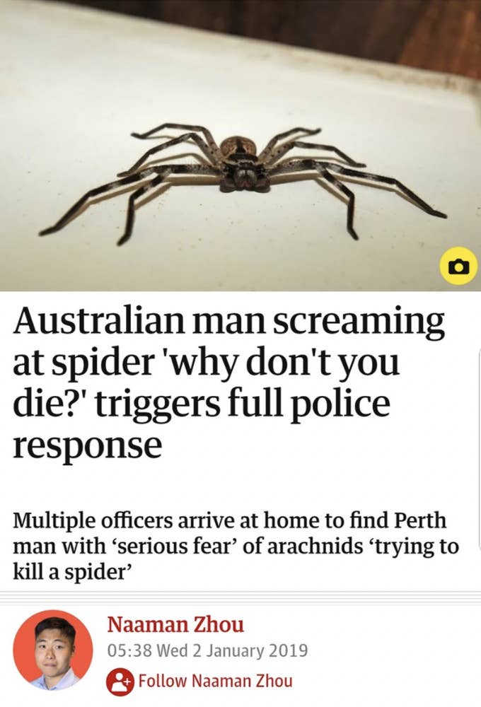 Creep Devise fredelig Most Ridiculous Aussie News Headlines