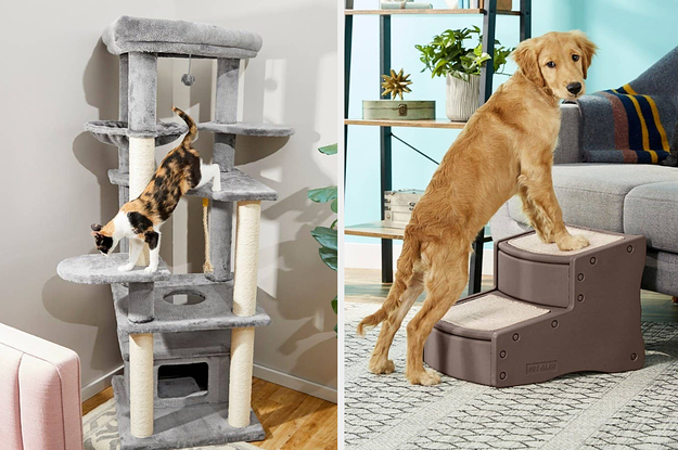 A large cat tree on the left and a dog on some pet steps on the right
