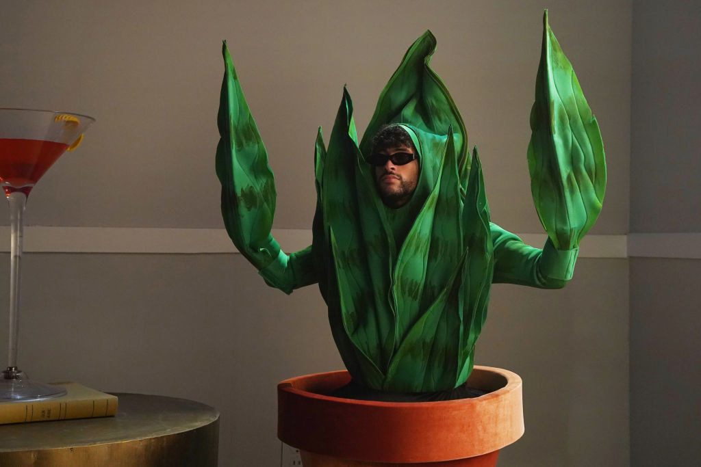 quite literally, he is dressed to be a houseplant in a pot