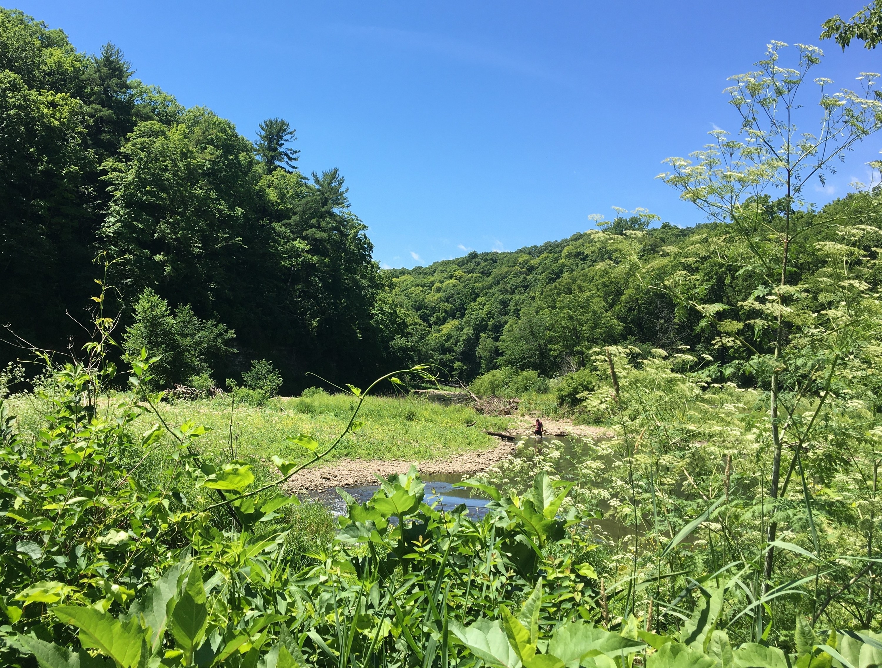 Photo of a fishing creek at Apple River Canyon State Park