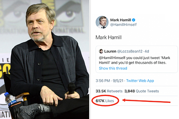 Mark hamill side by side his viral tweet where he just tweets his name