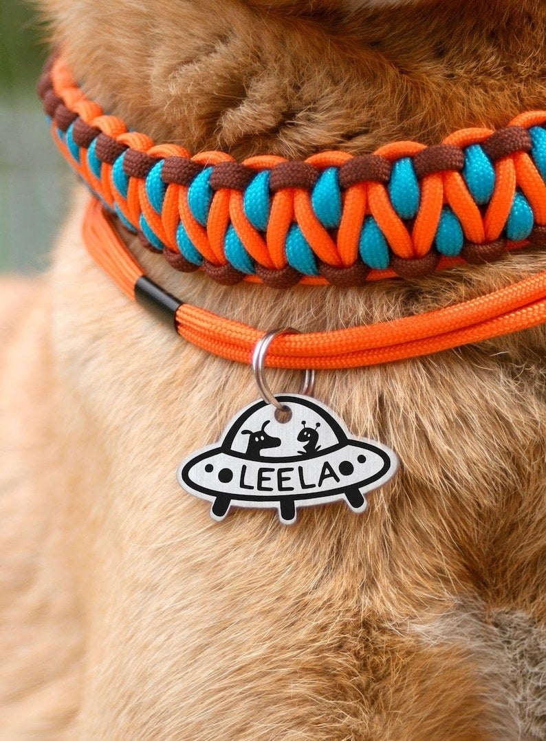 dog wearing the spaceship-shaped tag with their name and a design that looks like there&#x27;s an alien and a dog inside the spaceship