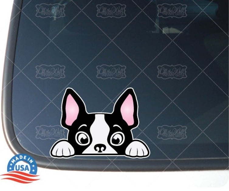 the sticker of a boston terrier face and paws peeking out over the edge of a car window