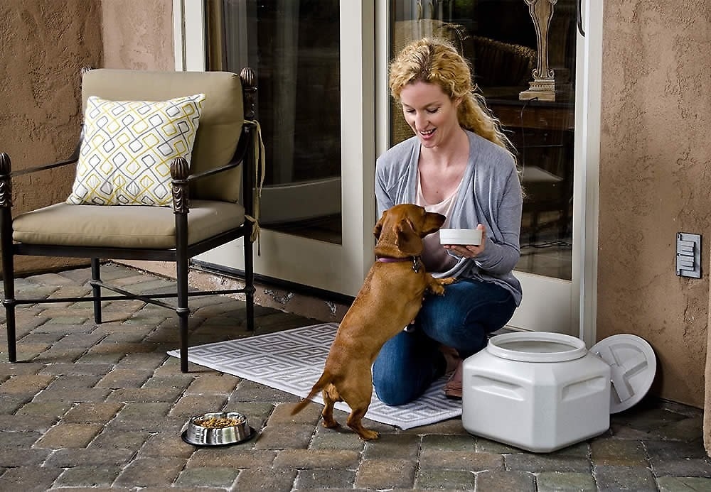 An owner feeding her dog next to the storage vault