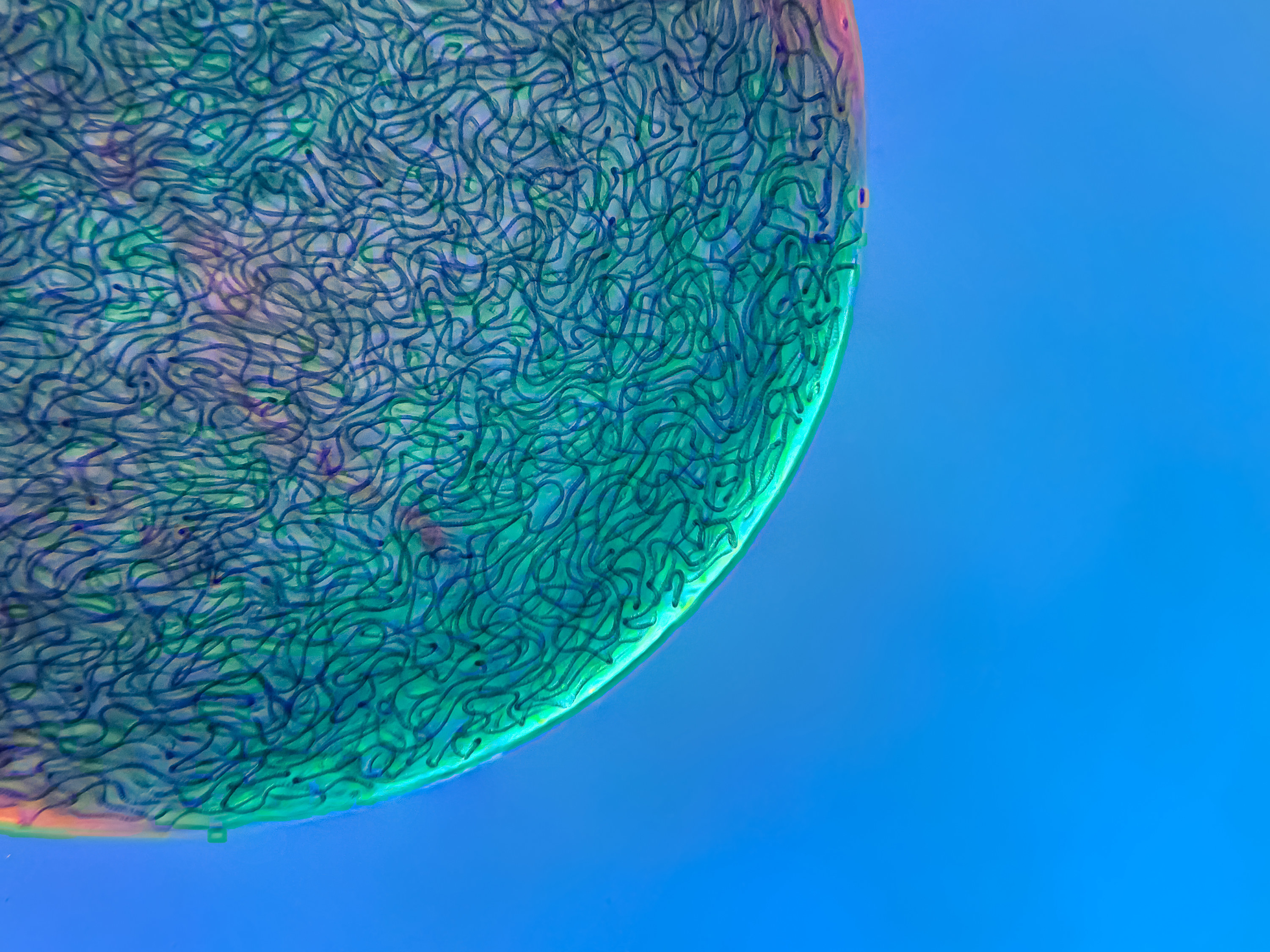 A blue globe with small blue worms on a blue background,  magnified many times