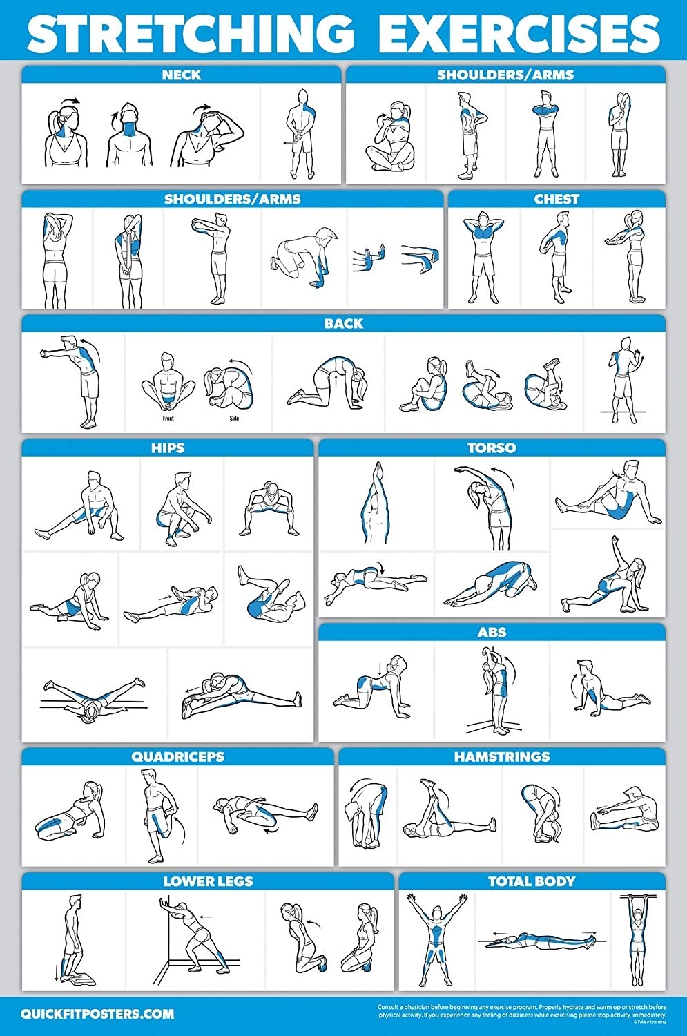 A chart divided into muscle groups with diagrams of people doing exercises