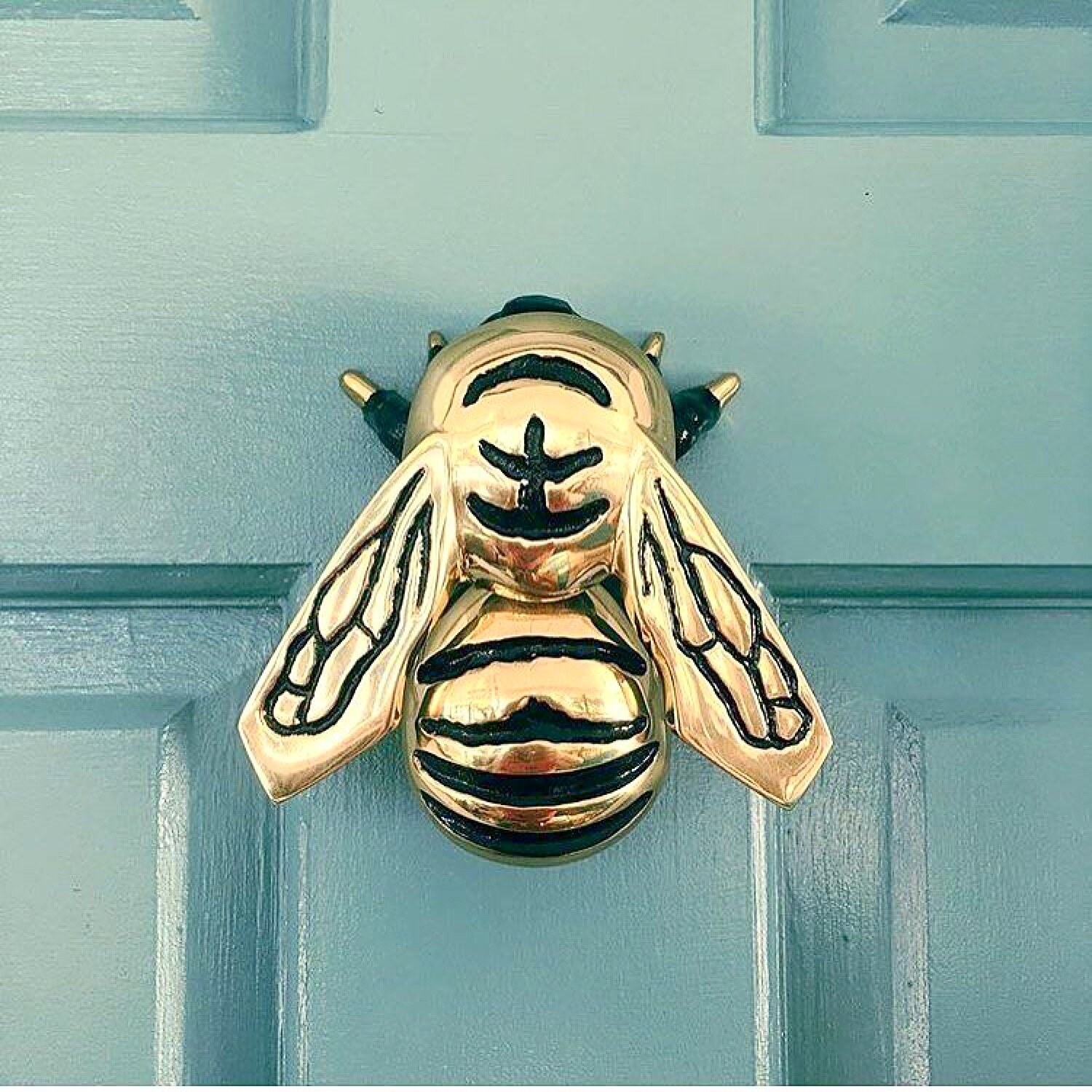 The door knocker in the color Brass
