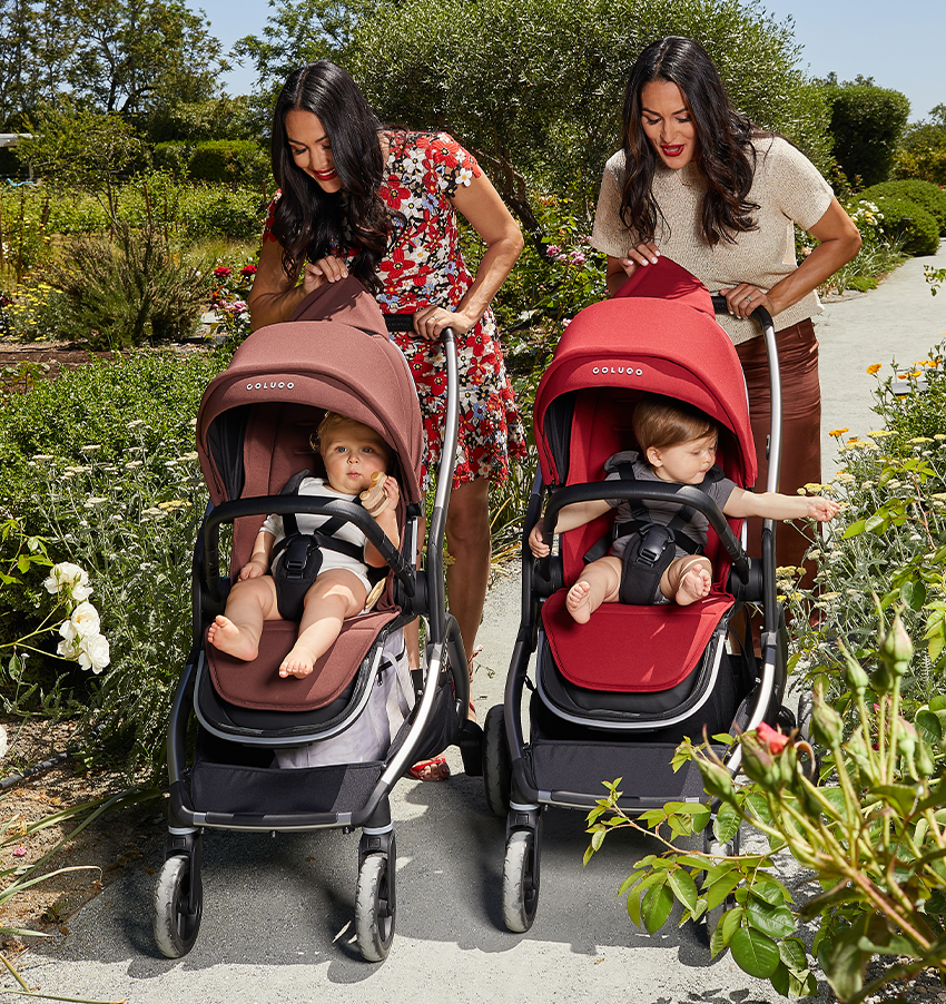 the bella twins pushing their kids in the strollers