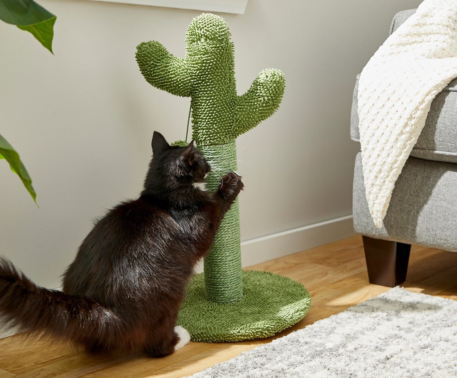 A cat scratching the cactus scratching post