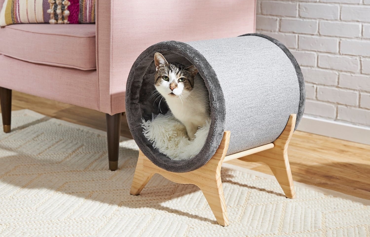 A cat inside the tunnel bed