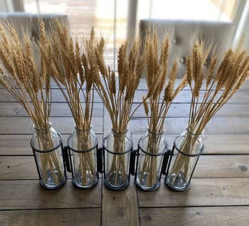 A reviewer photo of a five piece vase set with dried wheat