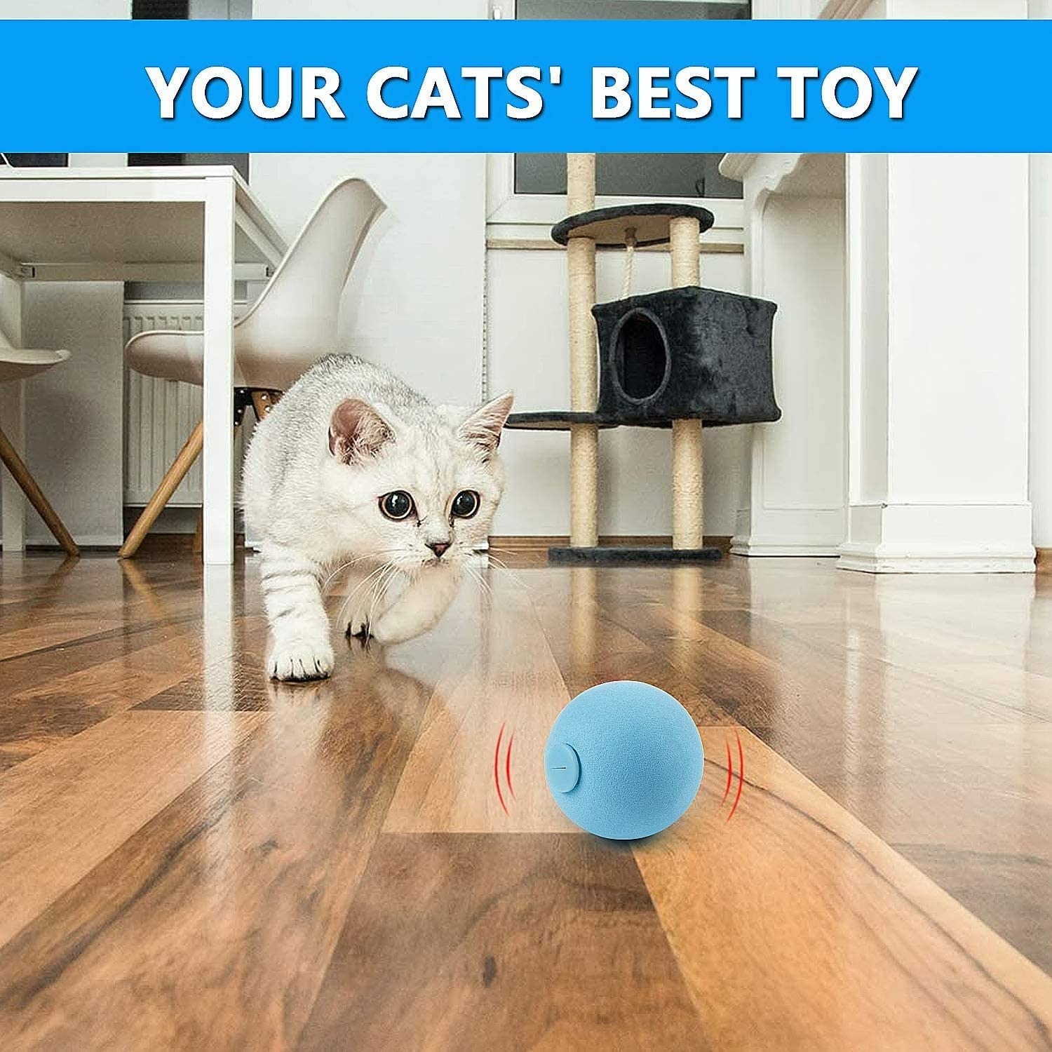 Gato jugando con juguete interactivo