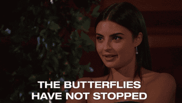 &quot;the butterflies have not stopped&quot; gif