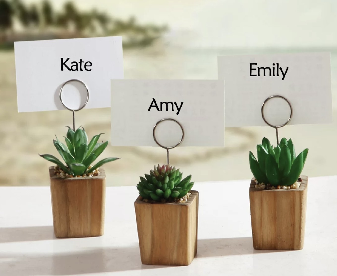 Three succulent place card holders