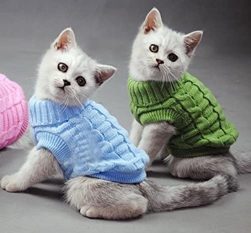 Suéter para gato
