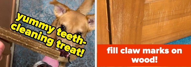 L: dogs looking longingly at teeth-cleaning stick treat R: wood door frame with claw marks on it