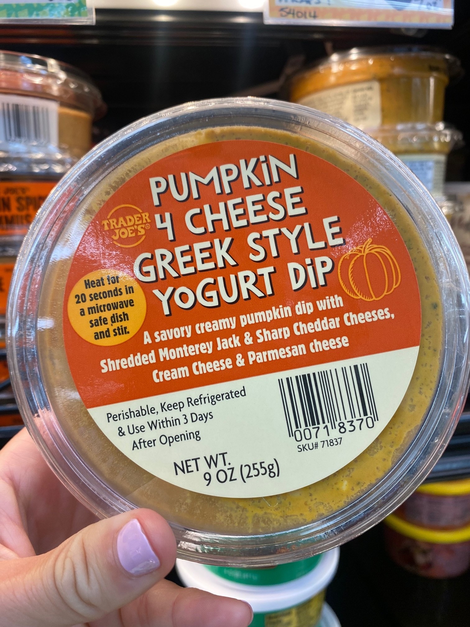 Pumpkin 4 Cheese Greek Style Yogurt Dip
