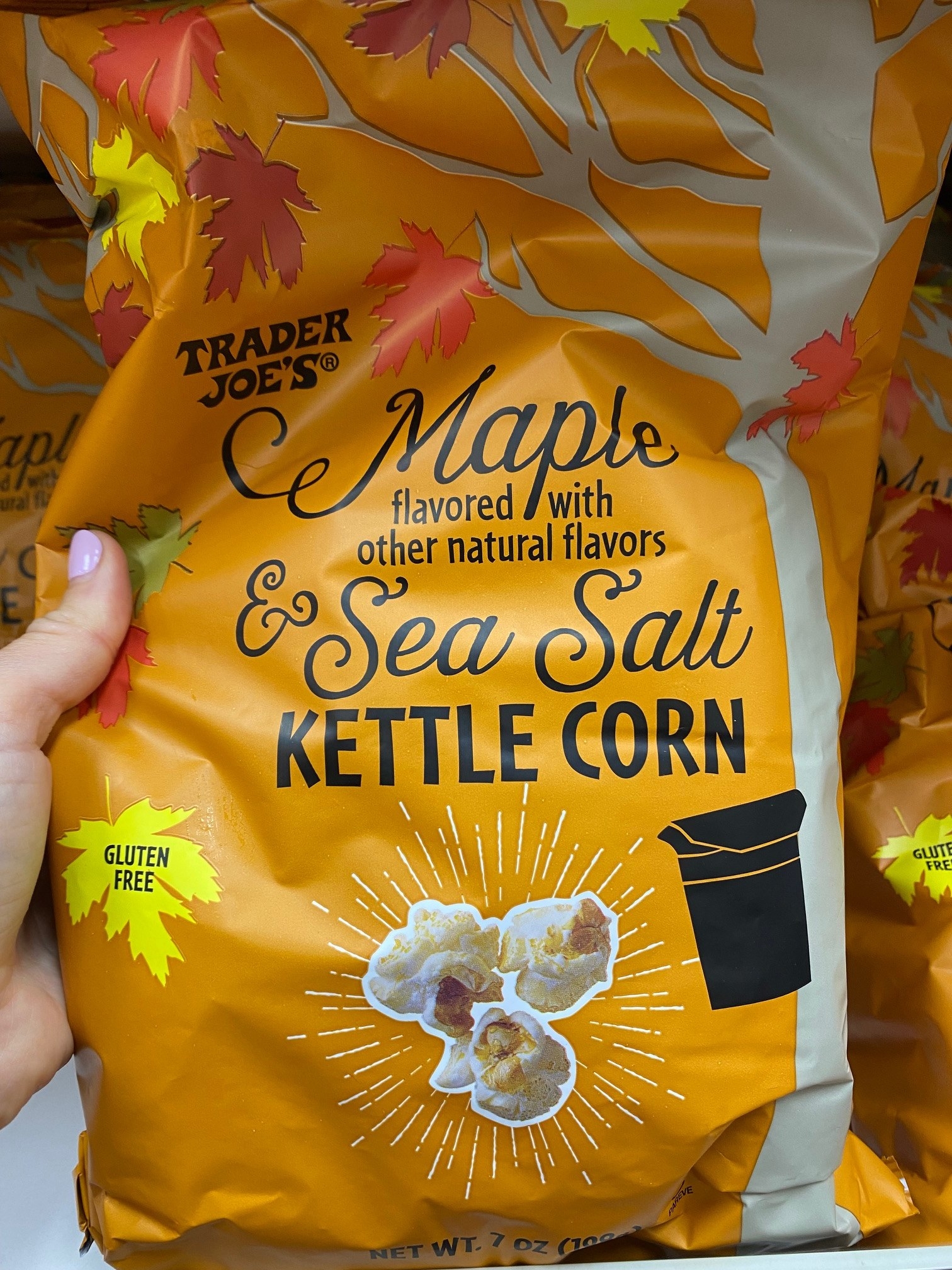 Maple &amp;amp; Sea Salt Kettle Corn